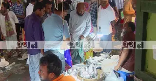 ভরা মৌসুমেও ইলিশের আকাল; মণপ্রতি দাম ছাড়ালো লাখ টাকা
